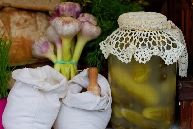 Ile dać soli do ogórków kiszonych, aby uniknąć ich zepsucia?