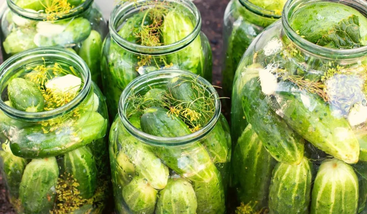 Czy ogórki kiszone trzeba pasteryzować? Odkryj prawdę o kiszeniu