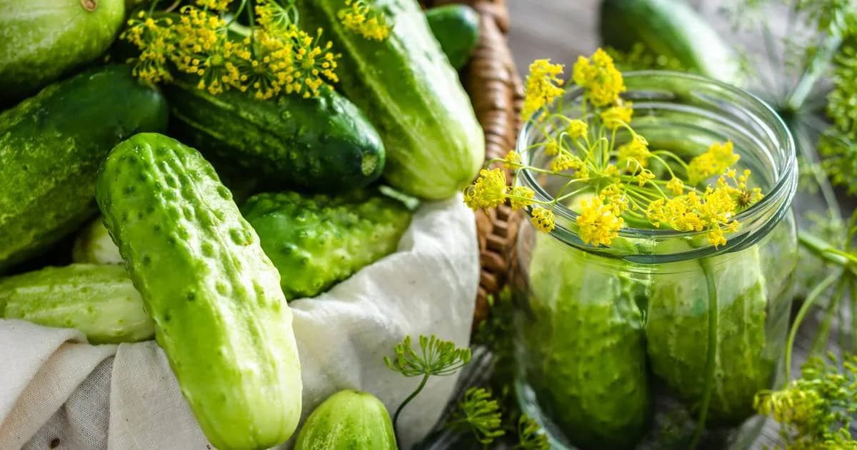 Czy dodawać gorczycę do ogórków kiszonych? Oto, co musisz wiedzieć