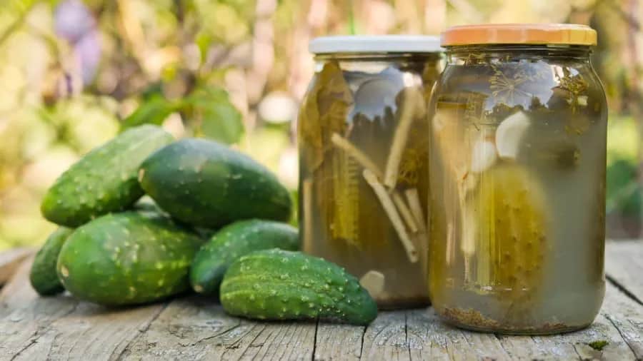Czy można jeść ogórki kiszone przy wrzodach żołądka? Unikaj bólu!